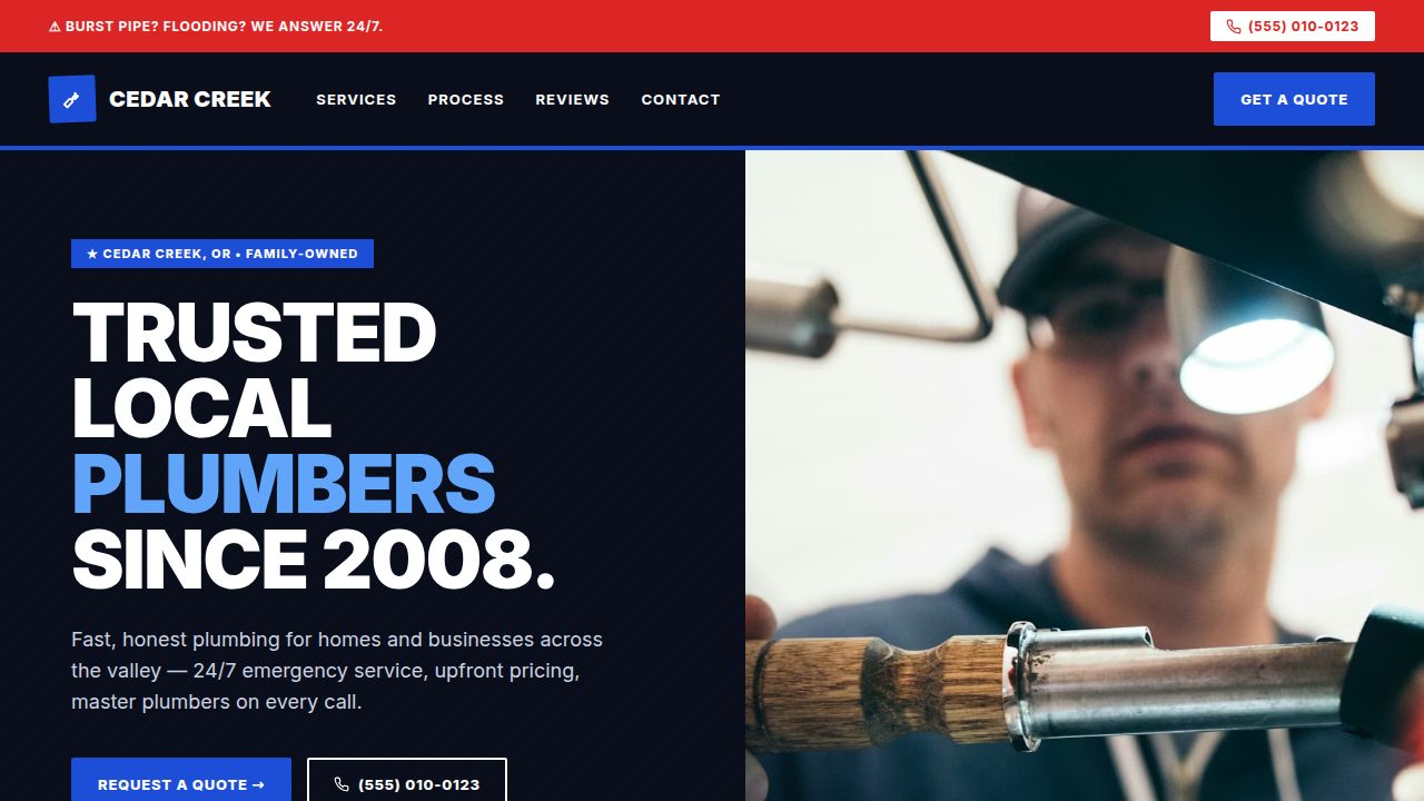 Example Plumbing Company website